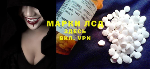 гашик Козловка