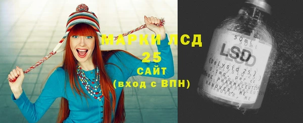 гашик Козловка