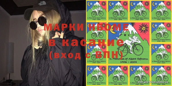 гашик Козловка