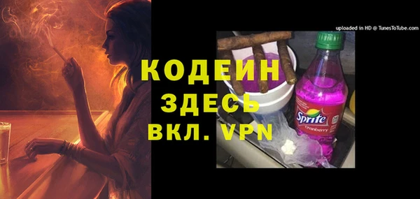 гашик Козловка