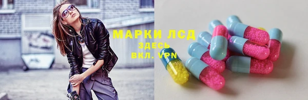 гашик Козловка