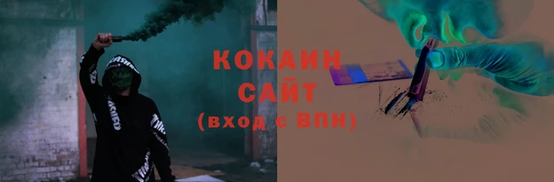 гашик Козловка