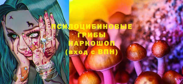 гашик Козловка