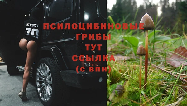 а пвп мука Кодинск