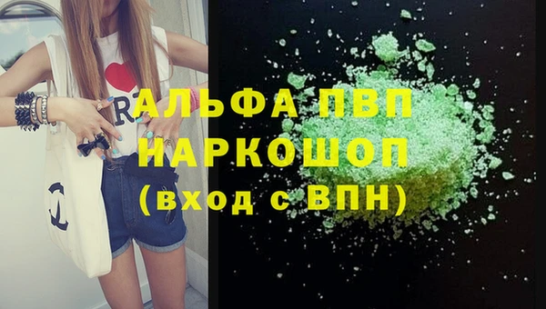 гашик Козловка