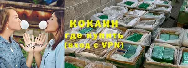 гашик Козловка