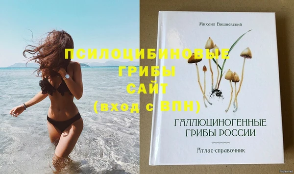 ПСИЛОЦИБИНОВЫЕ ГРИБЫ Козельск