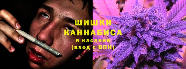 гашик Козловка