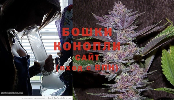гашик Козловка