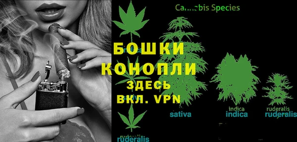 гашик Козловка
