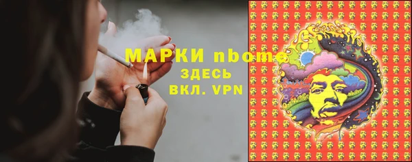 гашик Козловка