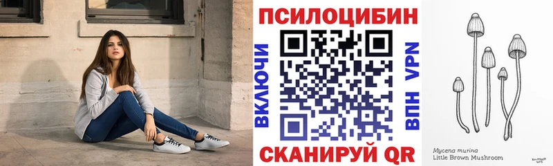 Купить  Анива  Галлюциногенные грибы прущие грибы 